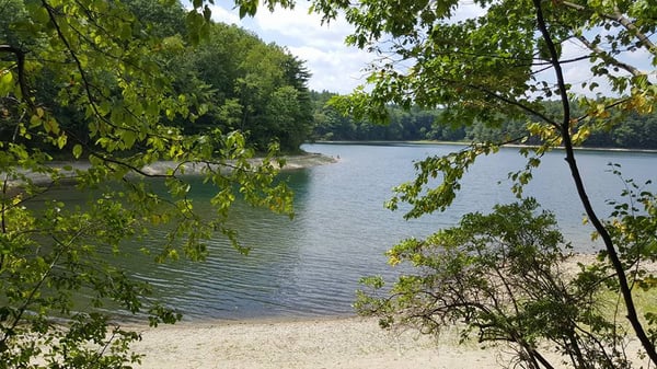 walden-pond-scenic
